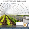 Película de Policarbonato Sólido - Imagen 13